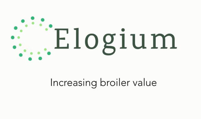 Elogium logo