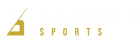 Scarab sports logo